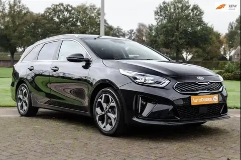 Annonce KIA CEED Hybride 2021 d'occasion 