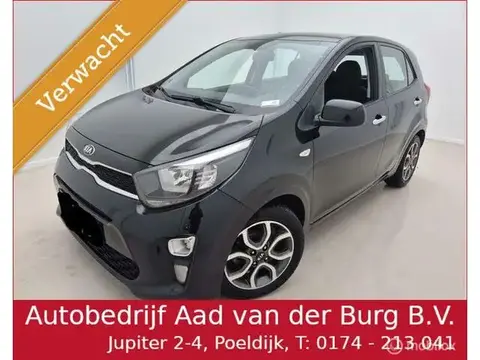 Used KIA PICANTO Petrol 2021 Ad 