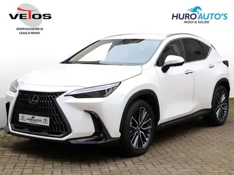 Annonce LEXUS NX Hybride 2023 d'occasion 