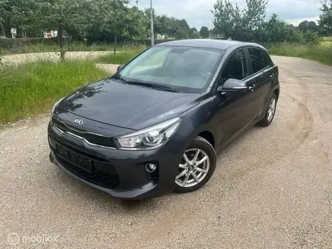 Used KIA RIO Petrol 2019 Ad 