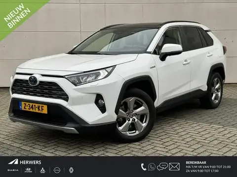 Annonce TOYOTA RAV4 Hybride 2020 d'occasion 