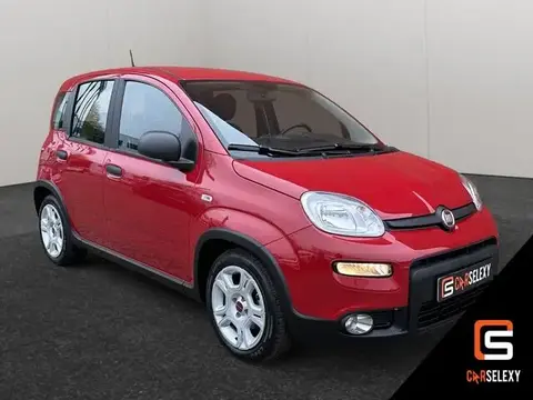 Annonce FIAT PANDA Essence 2024 d'occasion 