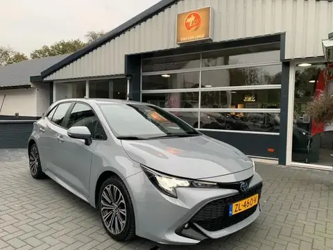 Used TOYOTA COROLLA Petrol 2019 Ad 