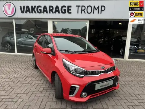 Used KIA PICANTO Petrol 2019 Ad 