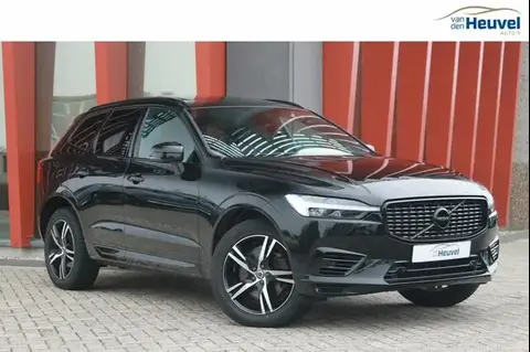 Used VOLVO XC60 Hybrid 2021 Ad 