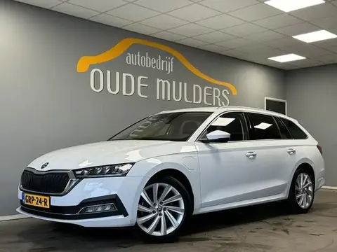 Annonce SKODA OCTAVIA Hybride 2021 d'occasion 