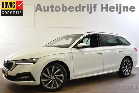 Used SKODA OCTAVIA Hybrid 2021 Ad 