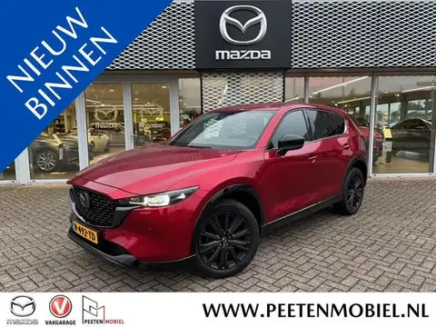 Used MAZDA CX-5 Petrol 2022 Ad 