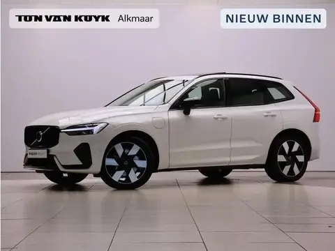 Used VOLVO XC60 Hybrid 2024 Ad 