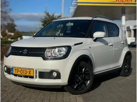 Used SUZUKI IGNIS Petrol 2018 Ad 