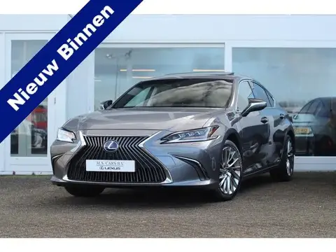 Annonce LEXUS ES Hybride 2019 d'occasion 