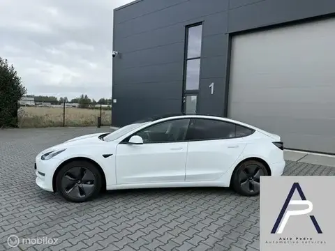 Used TESLA MODEL 3 Electric 2019 Ad 