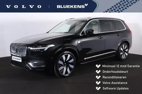 Annonce VOLVO XC90 Hybride 2024 d'occasion 