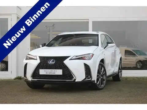 Annonce LEXUS UX Hybride 2019 d'occasion 