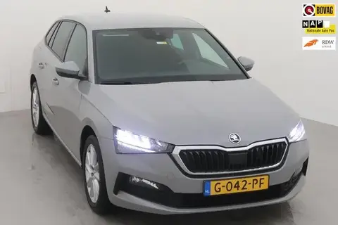 Annonce SKODA SCALA Essence 2019 d'occasion 