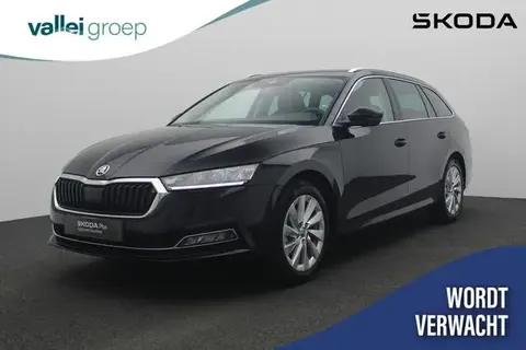 Used SKODA OCTAVIA Petrol 2024 Ad 