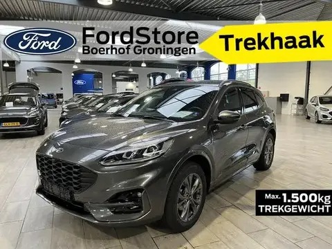 Used FORD KUGA Hybrid 2023 Ad 