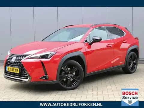 Used LEXUS UX Hybrid 2021 Ad 