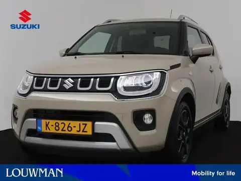 Annonce SUZUKI IGNIS Hybride 2021 d'occasion 