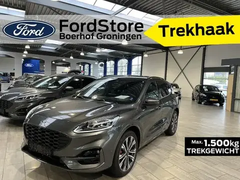 Annonce FORD KUGA Hybride 2024 d'occasion 