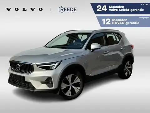 Used VOLVO XC40 Hybrid 2023 Ad 