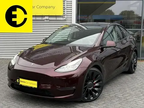 Used TESLA MODEL Y Electric 2023 Ad 