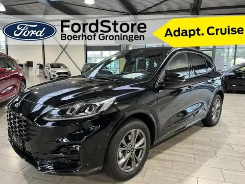 Used FORD KUGA Hybrid 2023 Ad 