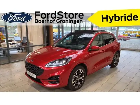 Used FORD KUGA Hybrid 2023 Ad 