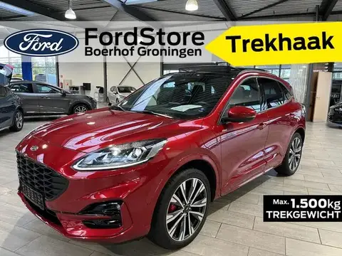 Used FORD KUGA Hybrid 2023 Ad 