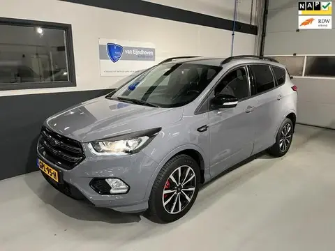 Used FORD KUGA Petrol 2019 Ad 