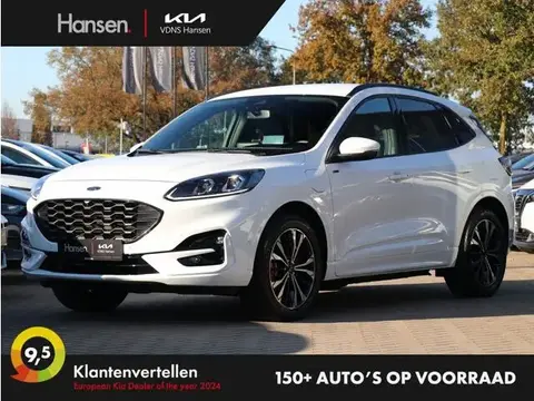 Used FORD KUGA Hybrid 2021 Ad 