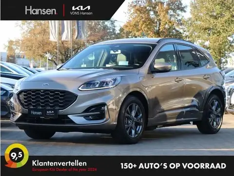 Used FORD KUGA Hybrid 2020 Ad 