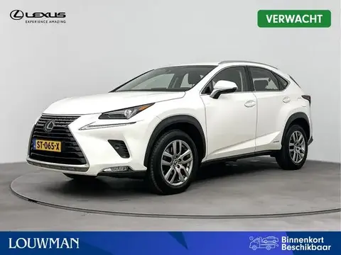 Used LEXUS NX Hybrid 2018 Ad 