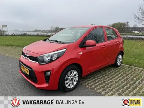 Used KIA PICANTO Petrol 2019 Ad 