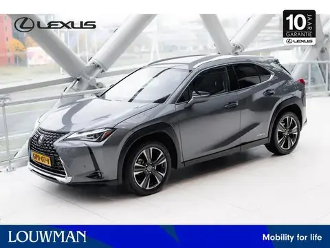 Used LEXUS UX Hybrid 2020 Ad 