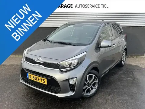 Used KIA PICANTO Petrol 2021 Ad 