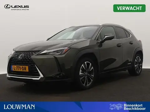 Annonce LEXUS UX Hybride 2021 d'occasion 