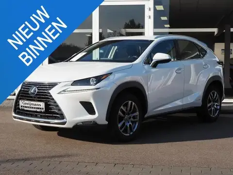 Used LEXUS NX Hybrid 2018 Ad 