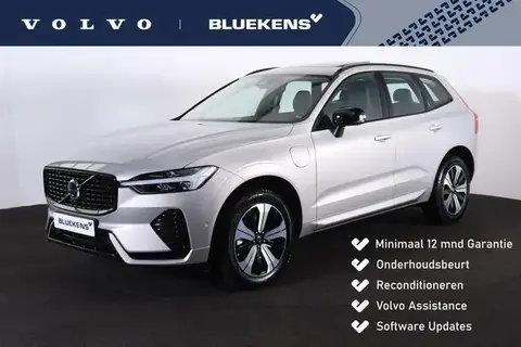 Annonce VOLVO XC60 Hybride 2024 d'occasion 