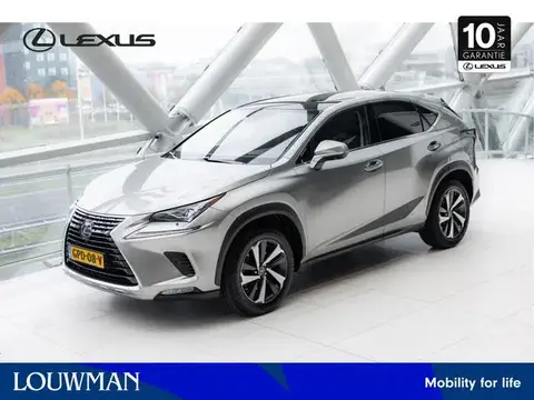 Used LEXUS NX Hybrid 2020 Ad 