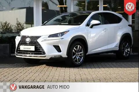 Used LEXUS NX Hybrid 2020 Ad 