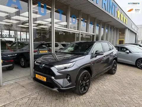 Annonce TOYOTA RAV4 Hybride 2024 d'occasion 