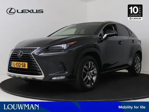 Used LEXUS NX Hybrid 2021 Ad 