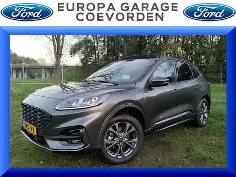 Annonce FORD KUGA Hybride 2022 d'occasion 