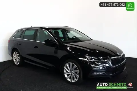 Used SKODA OCTAVIA Hybrid 2020 Ad 