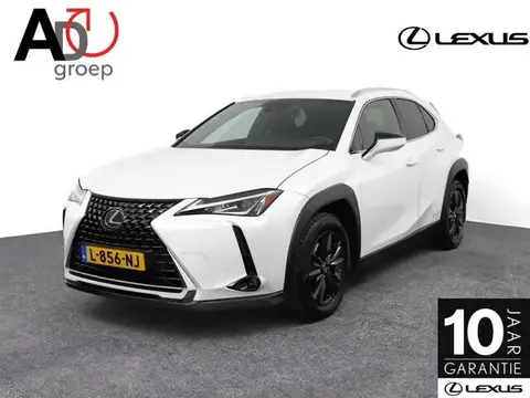 Annonce LEXUS UX Hybride 2020 d'occasion 