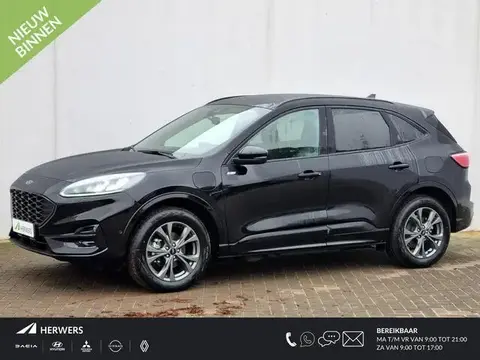 Used FORD KUGA Hybrid 2023 Ad 