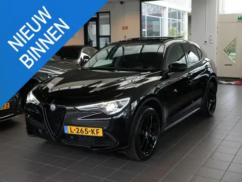 Used ALFA ROMEO STELVIO Petrol 2017 Ad 