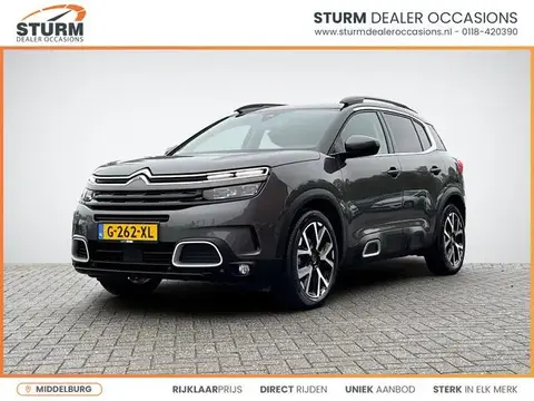 Used CITROEN C5 Petrol 2019 Ad 