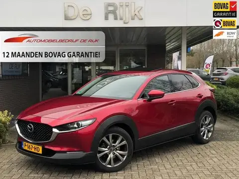 Annonce MAZDA CX-30 Hybride 2019 d'occasion 